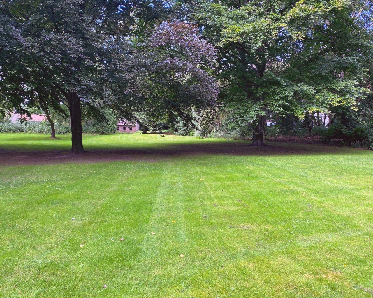 Vernieuwen groot grasveld